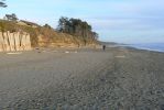 PICTURES/Kalaloch Lodge & Beach Olympic NP/t_P1260700.JPG